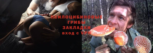 гашик Верхний Тагил